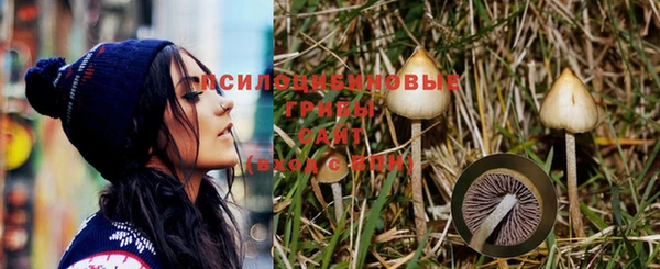 гашик Бугульма