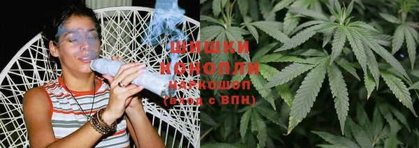 стаф Бородино