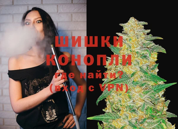 стаф Бородино