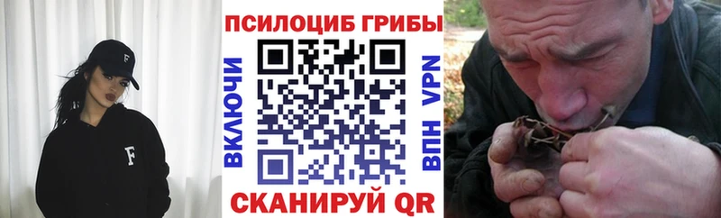 Псилоцибиновые грибы ЛСД  магазин  наркотиков  Горнозаводск 